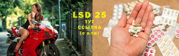 стафф Инта