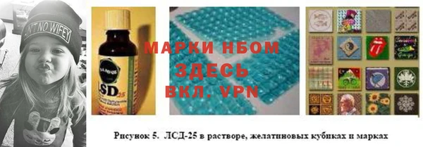 2c-b Иннополис