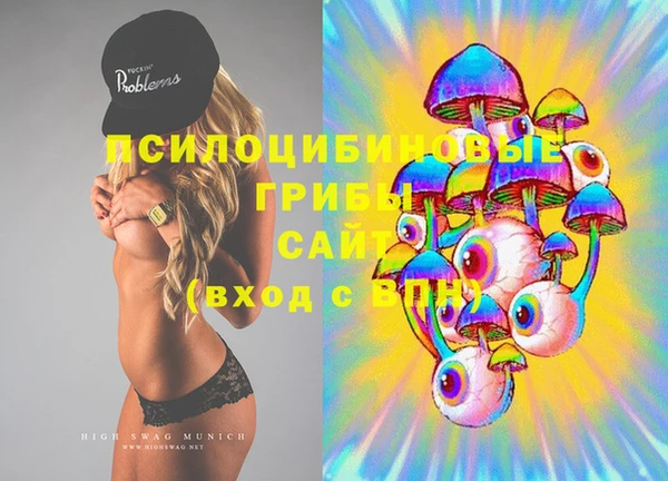 стафф Инта