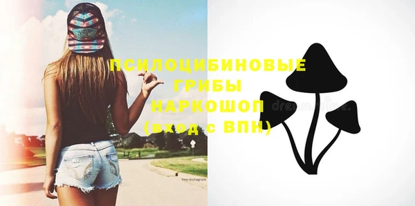 метадон Инсар