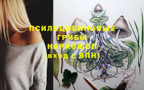 метадон Инсар