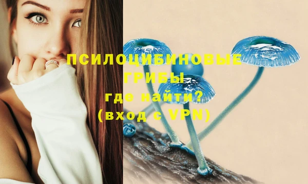 метадон Инсар