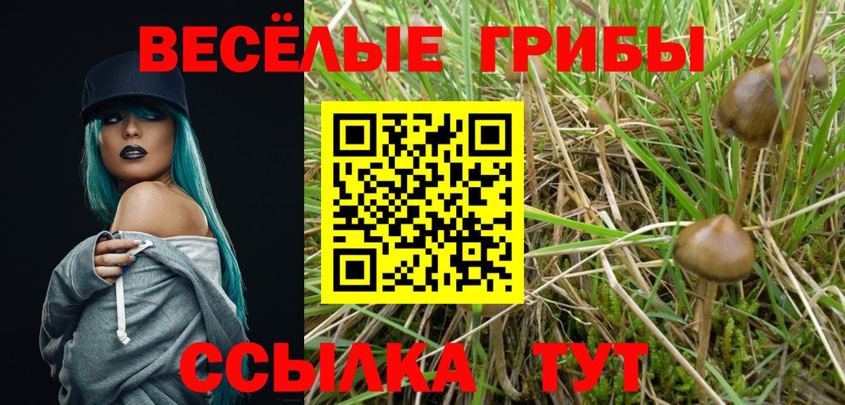 Гашиш  Нефтекамск  МЕФ кристаллы  Вход с VPN  NBOMe 
