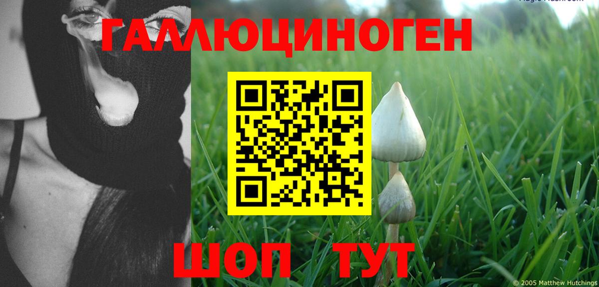 Галлюциногенные грибы Magic Shrooms  Нефтекамск 